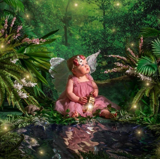 JCPenny Portraits Fairtytale Adventures Event Countryside Mall