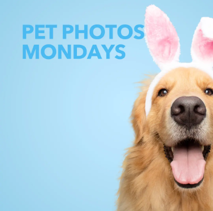 Pet Photos with the Easter Bunny