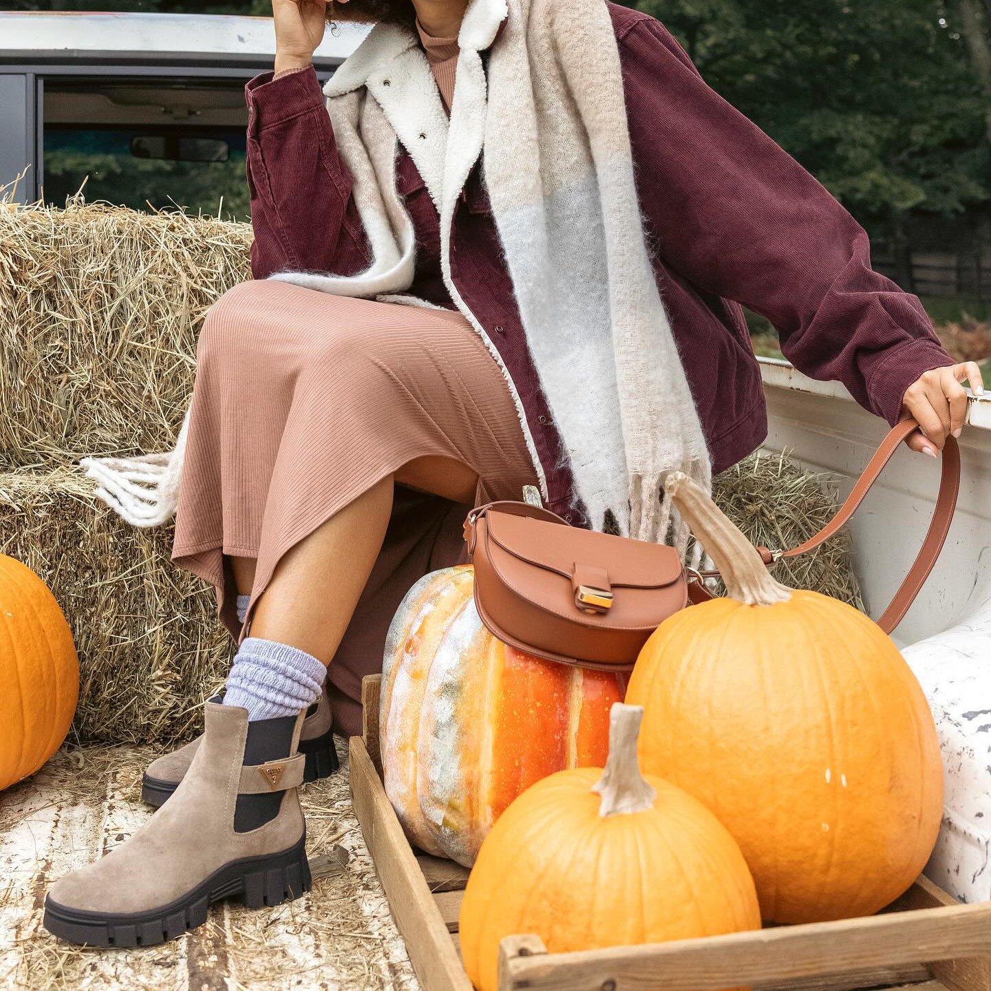 Macy_s Macy's fall clothing and pumpkins